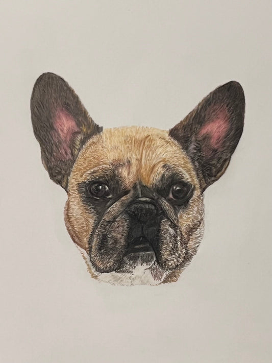 The Frenchie