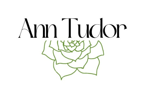Ann Tudor LLC logo
