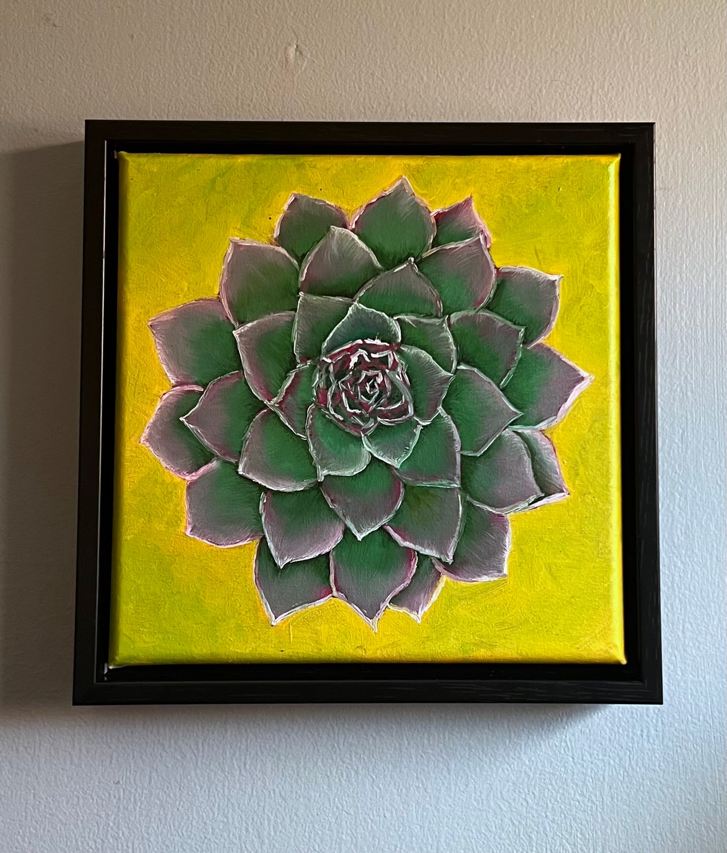 Oil painting of a hen & chick succulent that is green tipped in purple on a yellow/green background in a black floating frame
