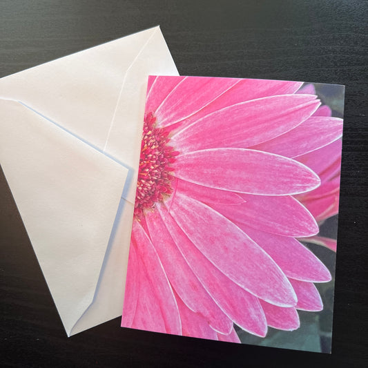 Notecard Set of 5 - Pink Gerber Daisy