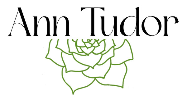 Ann Tudor LLC