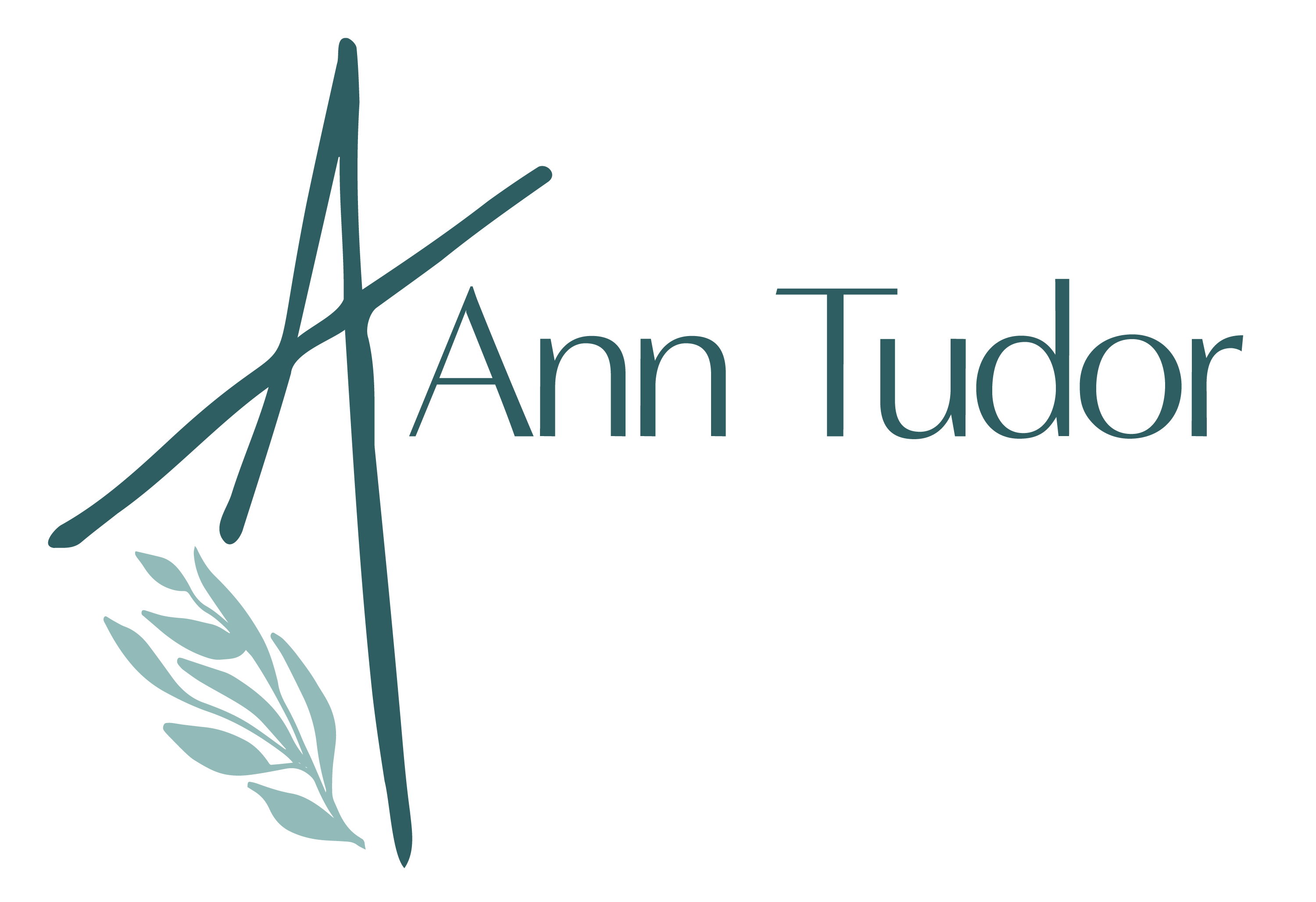 Ann Tudor LLC